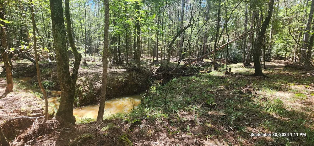 County Road 405 San Augustine, TX 75972