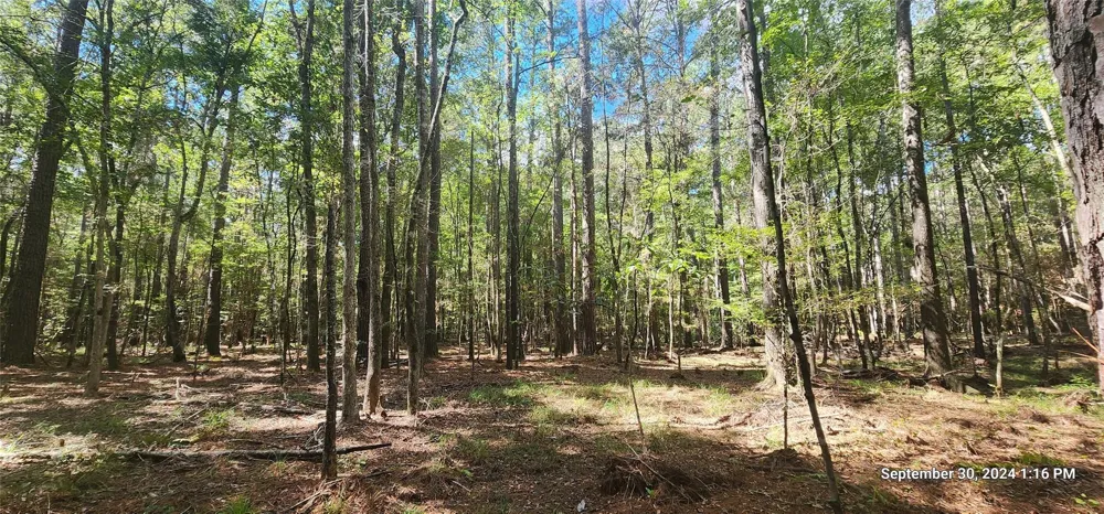 County Road 405 San Augustine, TX 75972