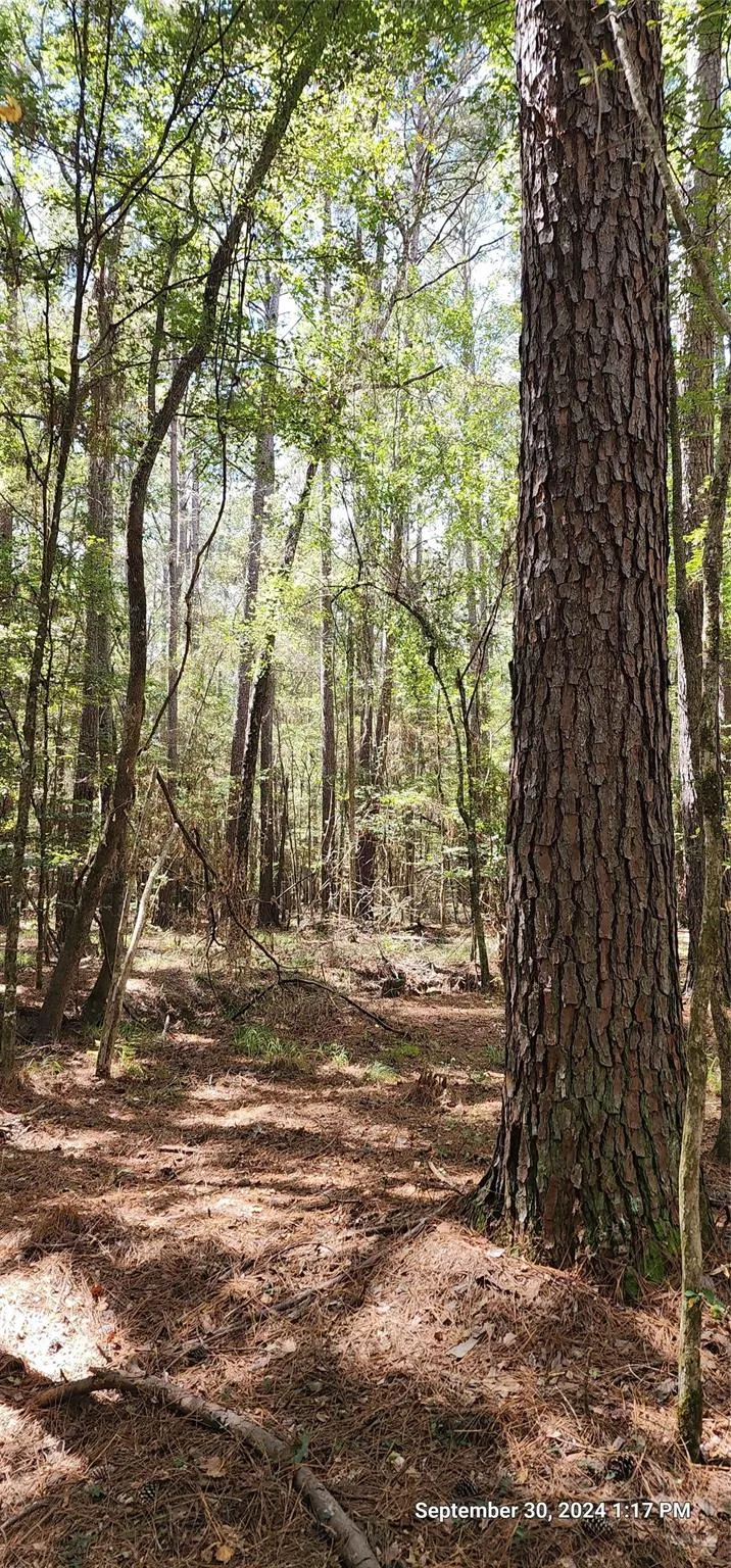 County Road 405 San Augustine, TX 75972