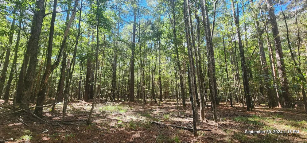 County Road 405 San Augustine, TX 75972