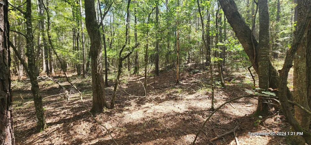 County Road 405 San Augustine, TX 75972