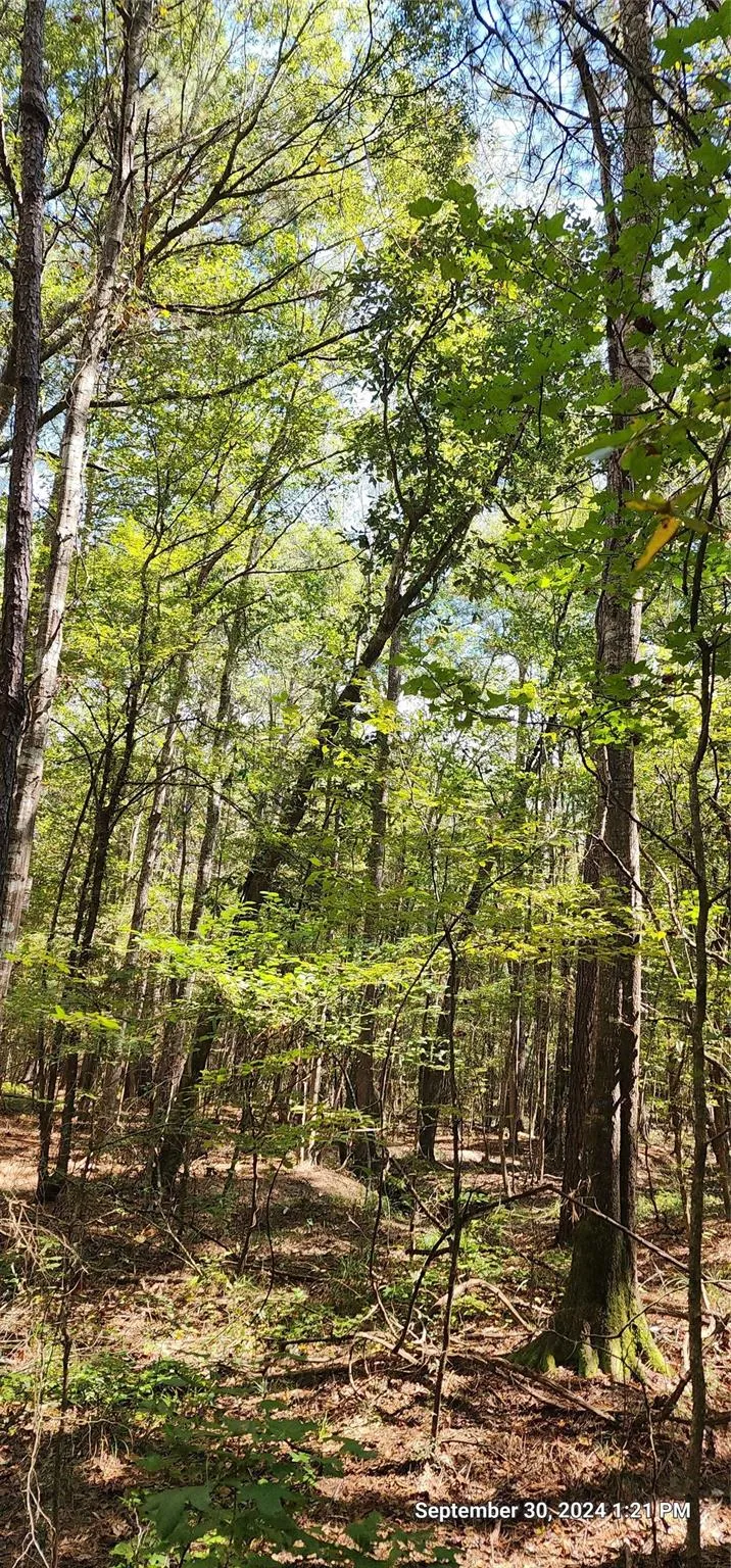 County Road 405 San Augustine, TX 75972