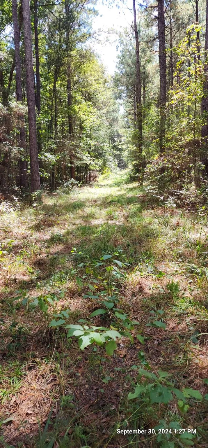 County Road 405 San Augustine, TX 75972