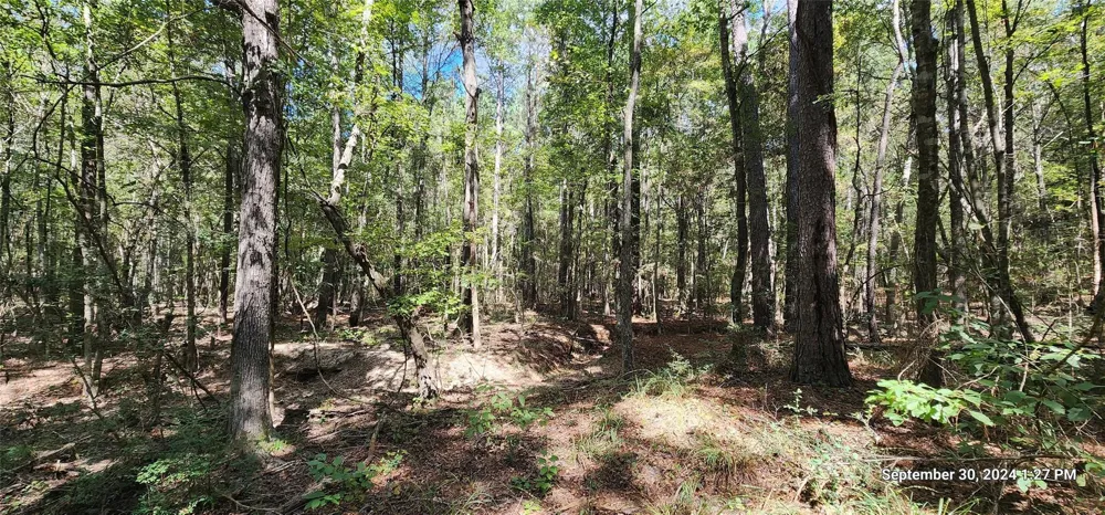 County Road 405 San Augustine, TX 75972