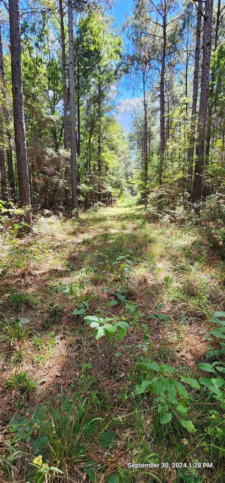 County Road 405 San Augustine, TX 75972