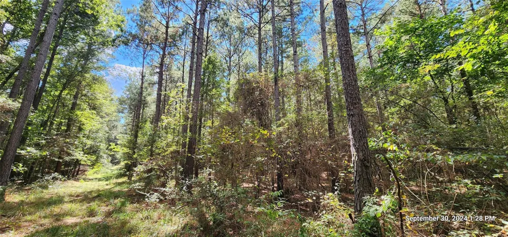 County Road 405 San Augustine, TX 75972