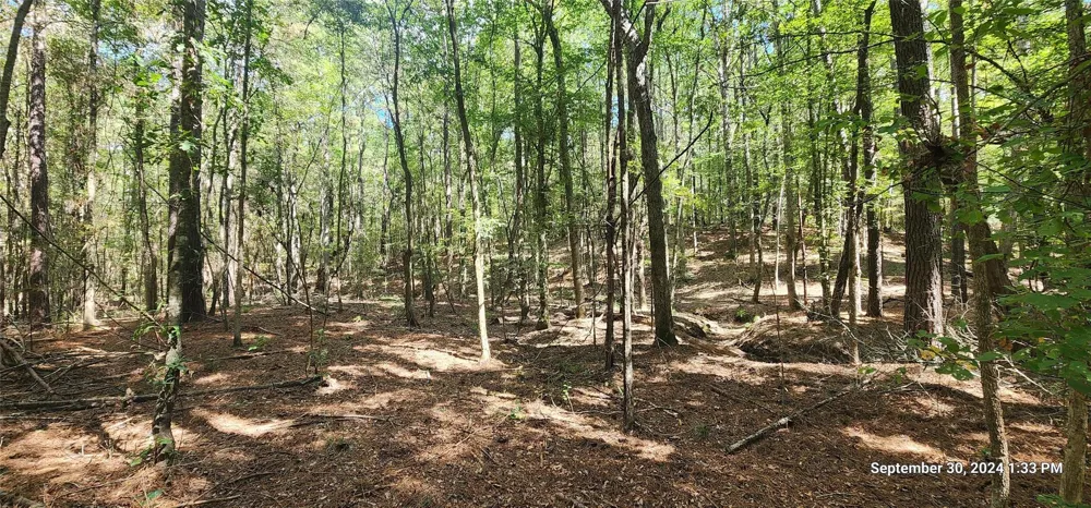 County Road 405 San Augustine, TX 75972