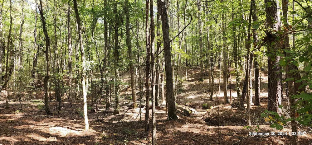County Road 405 San Augustine, TX 75972