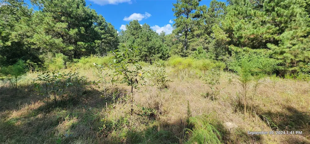 County Road 405 San Augustine, TX 75972