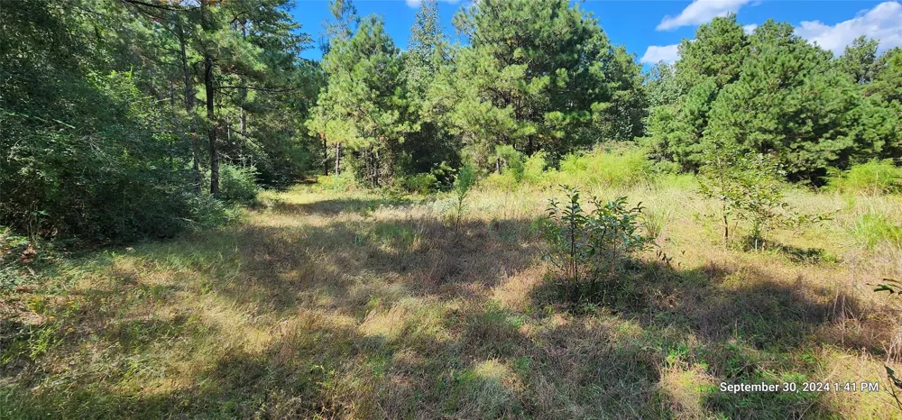 County Road 405 San Augustine, TX 75972