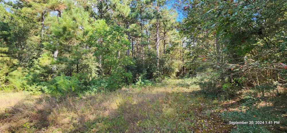 County Road 405 San Augustine, TX 75972