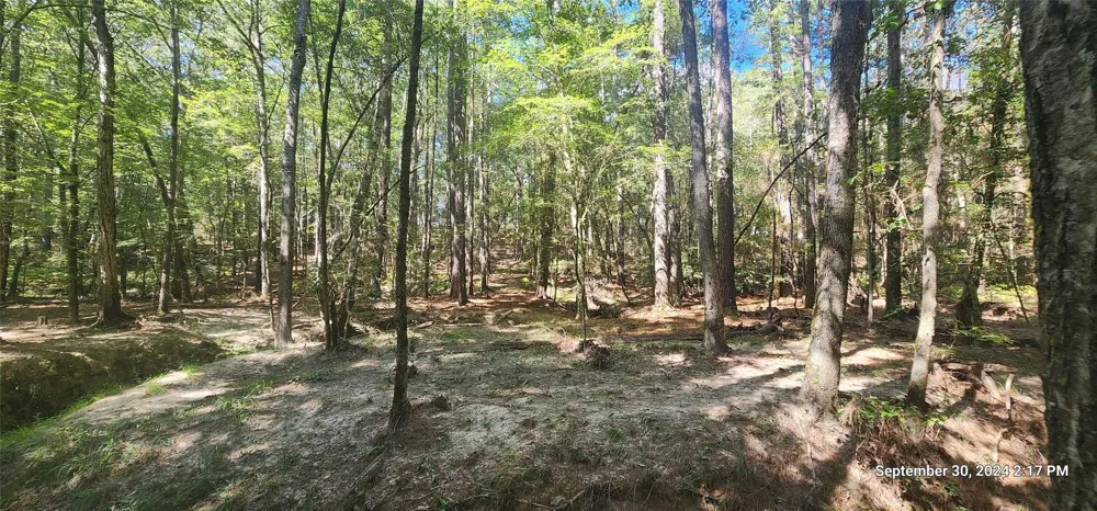 County Road 405 San Augustine, TX 75972