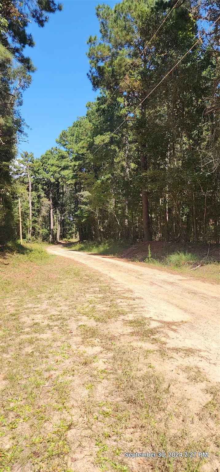County Road 405 San Augustine, TX 75972