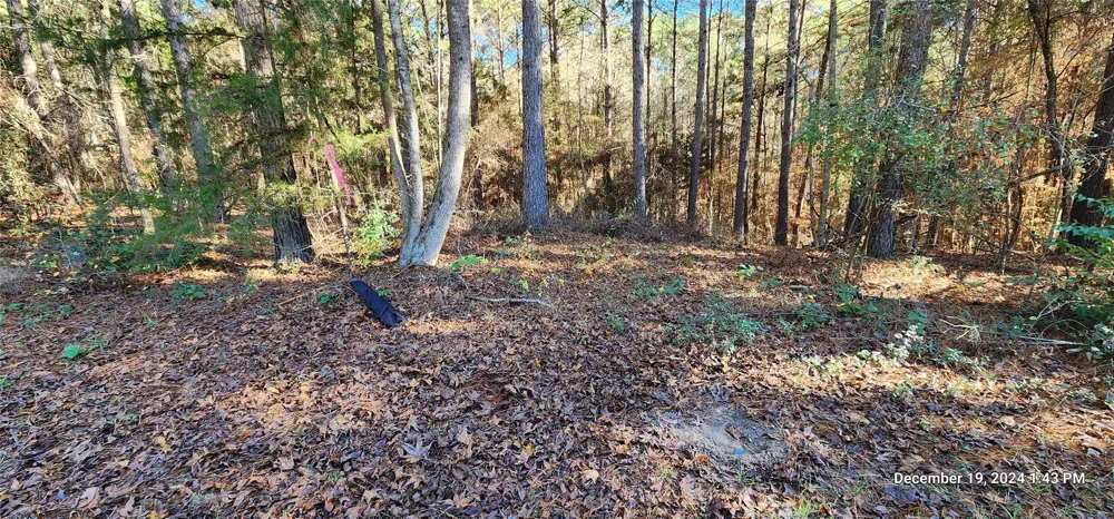 County Road 405 San Augustine, TX 75972