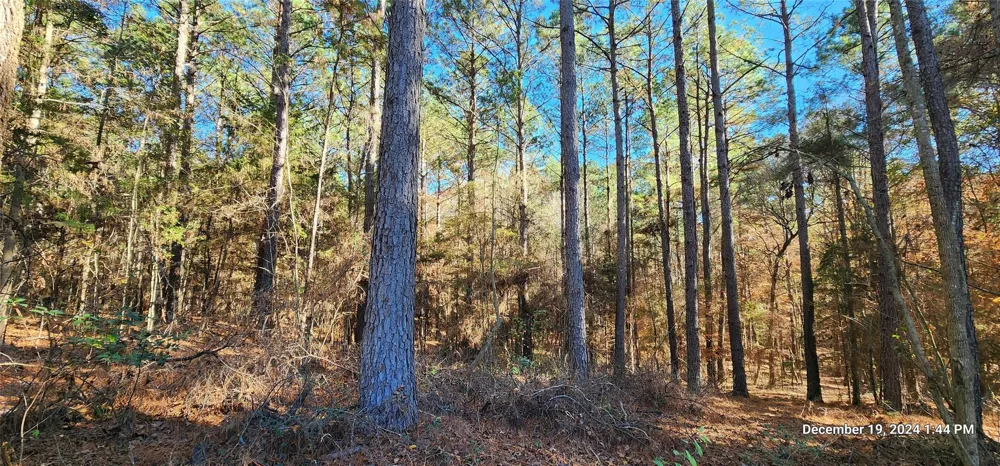 County Road 405 San Augustine, TX 75972