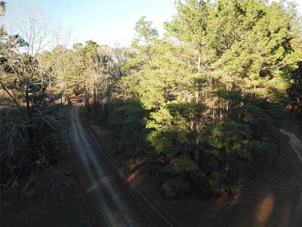 County Road 405 San Augustine, TX 75972