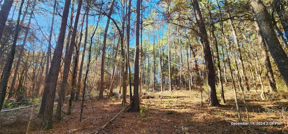 County Road 405 San Augustine, TX 75972