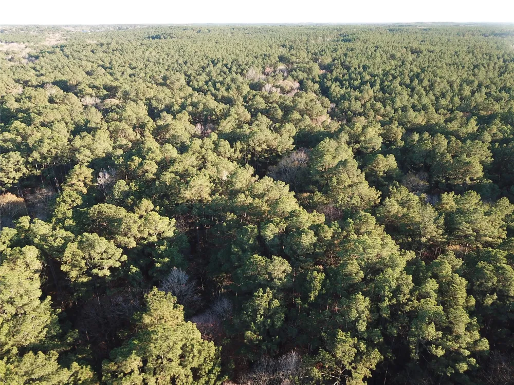 County Road 405 San Augustine, TX 75972