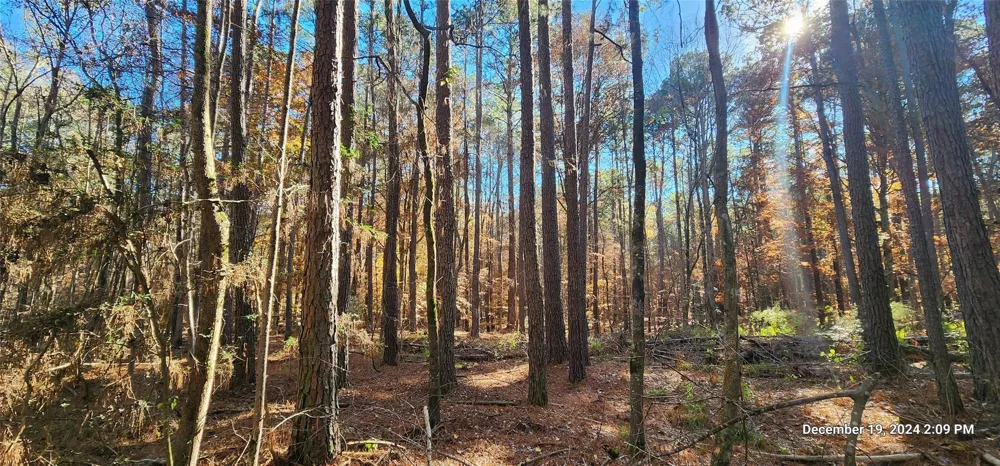 County Road 405 San Augustine, TX 75972