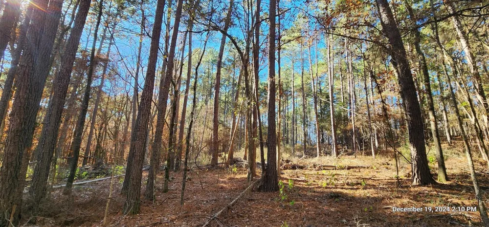 County Road 405 San Augustine, TX 75972