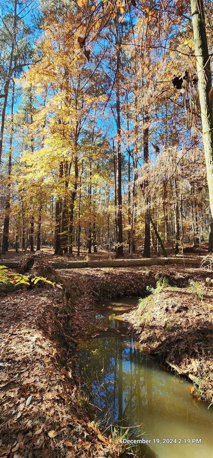 County Road 405 San Augustine, TX 75972