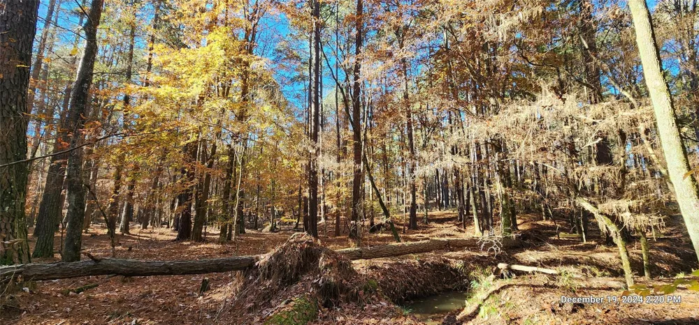 County Road 405 San Augustine, TX 75972