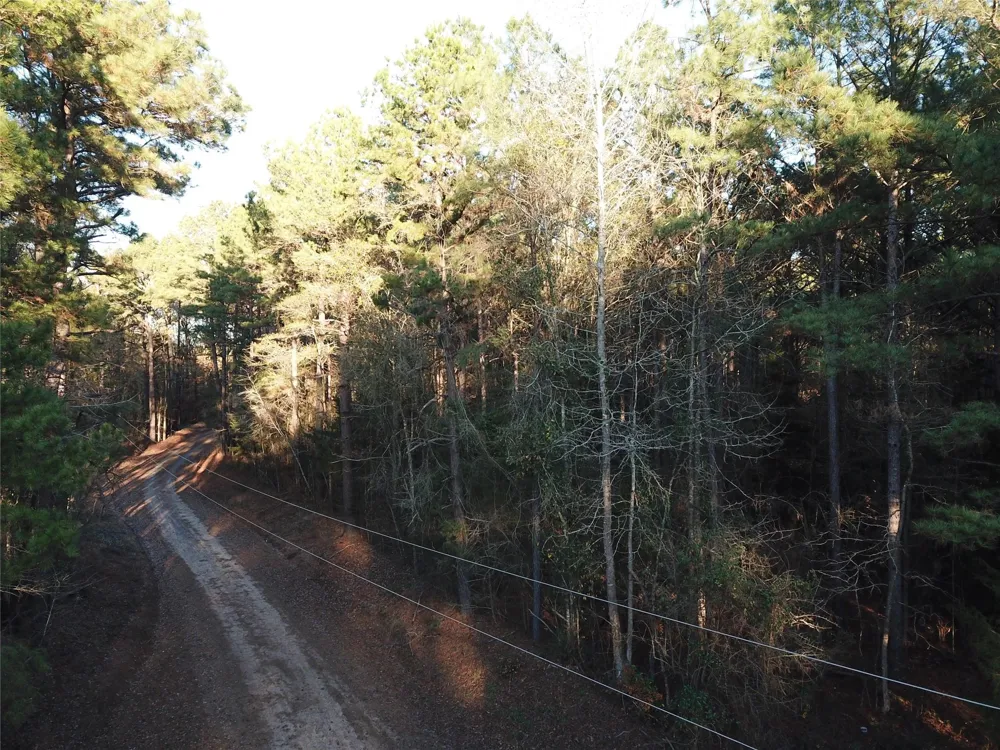 County Road 405 San Augustine, TX 75972
