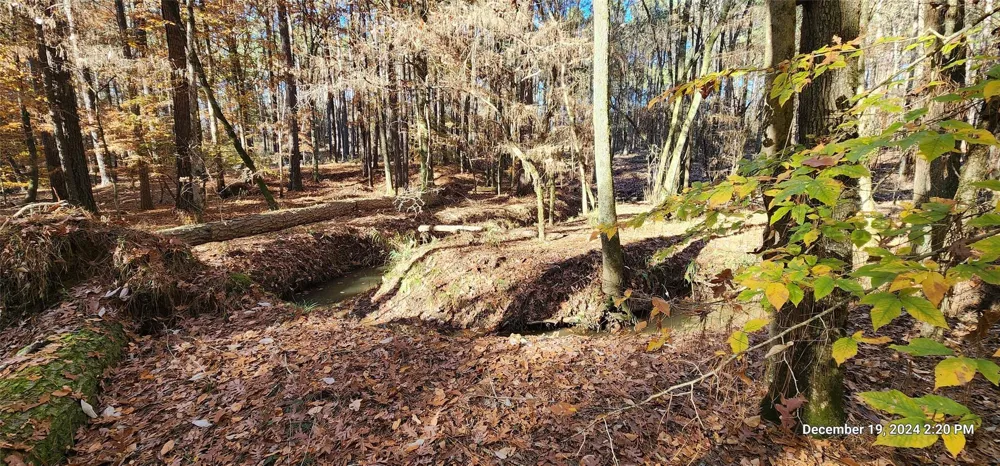 County Road 405 San Augustine, TX 75972