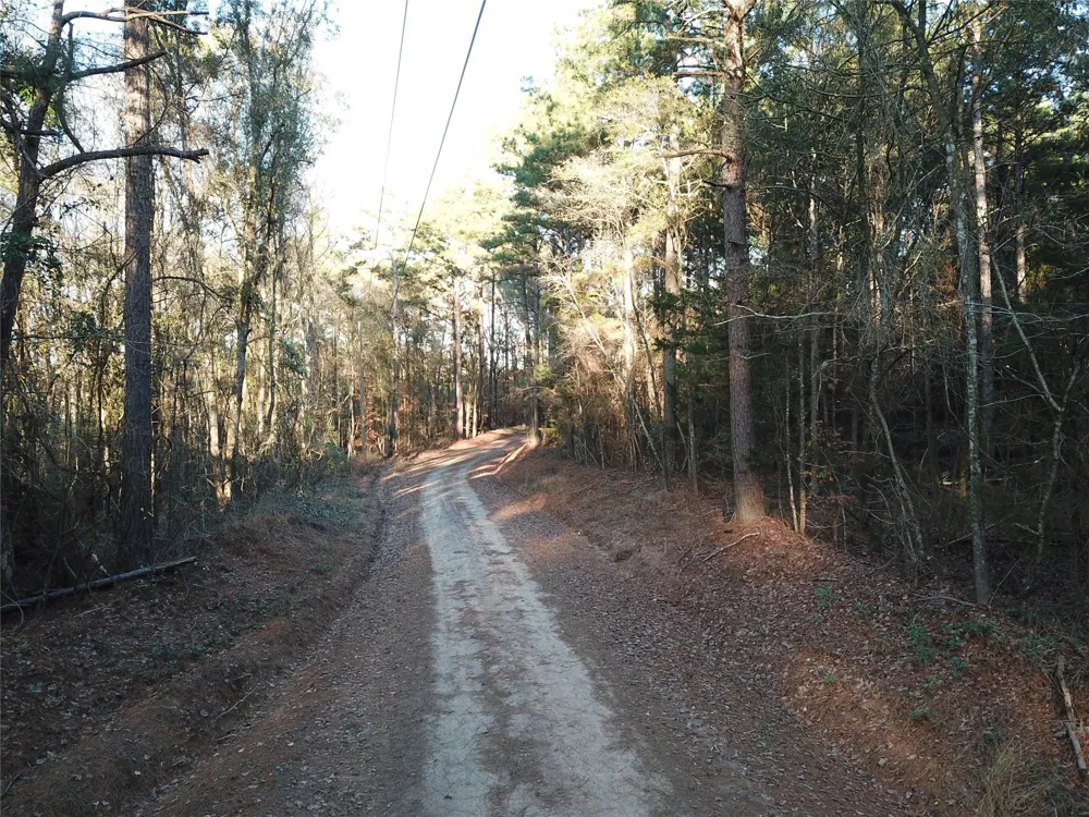 County Road 405 San Augustine, TX 75972