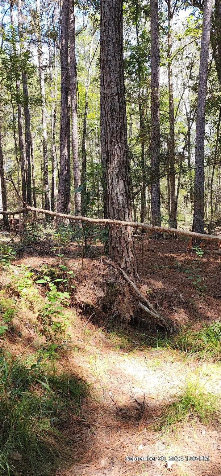County Road 405 San Augustine, TX 75972