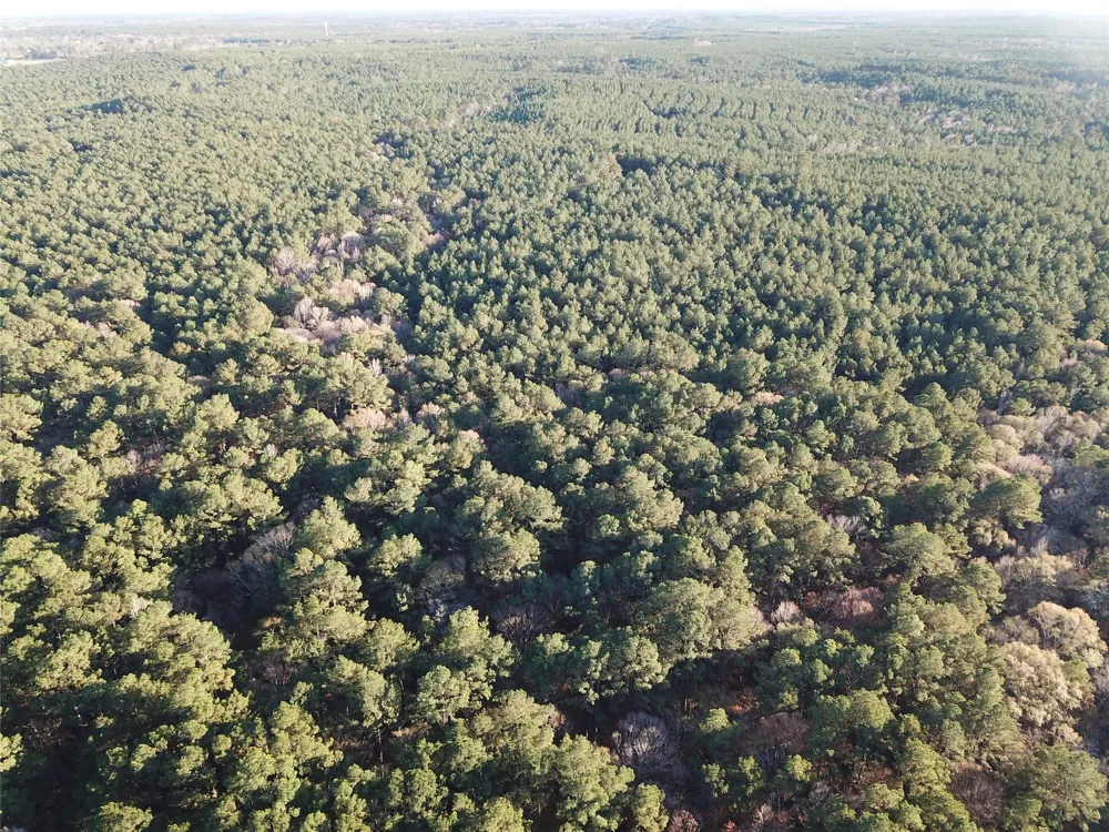County Road 405 San Augustine, TX 75972