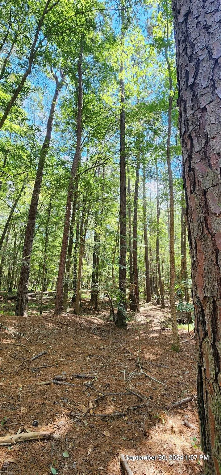 County Road 405 San Augustine, TX 75972