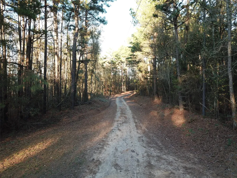 County Road 405 San Augustine, TX 75972