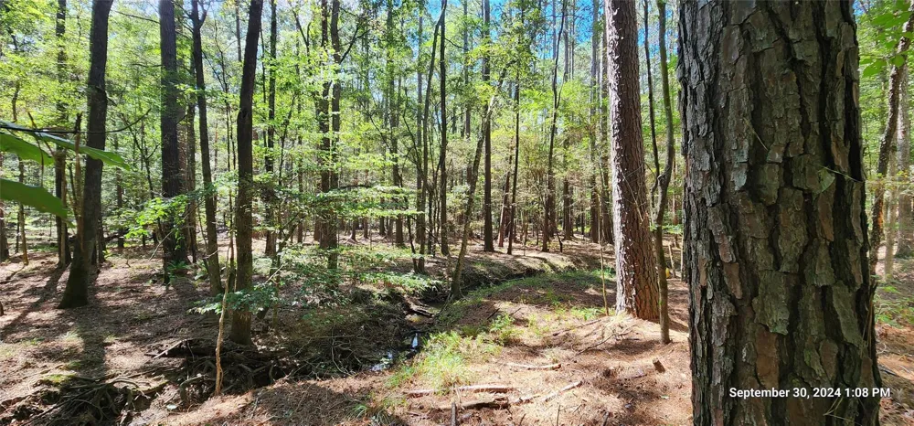 County Road 405 San Augustine, TX 75972