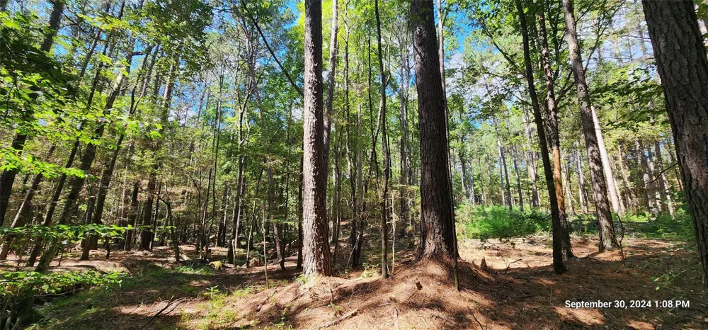 County Road 405 San Augustine, TX 75972
