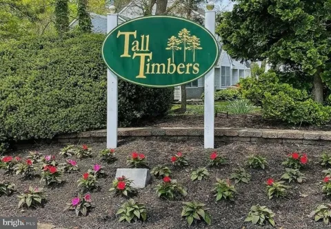 31 TIMBERLINE DRIVE