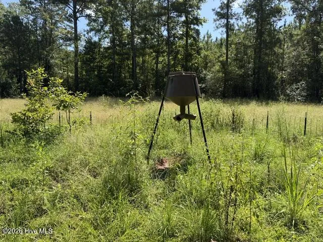 0 Kendricks Mill Road Crawfordville, GA 30631