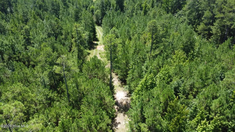 0 Kendricks Mill Road Crawfordville, GA 30631