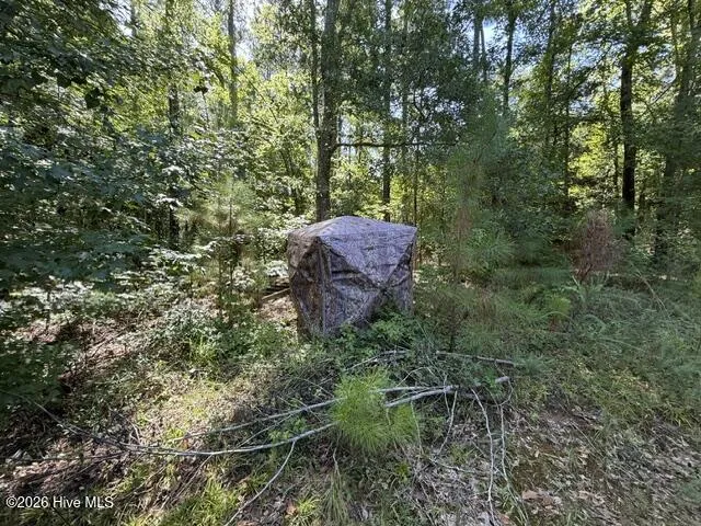 0 Kendricks Mill Road Crawfordville, GA 30631