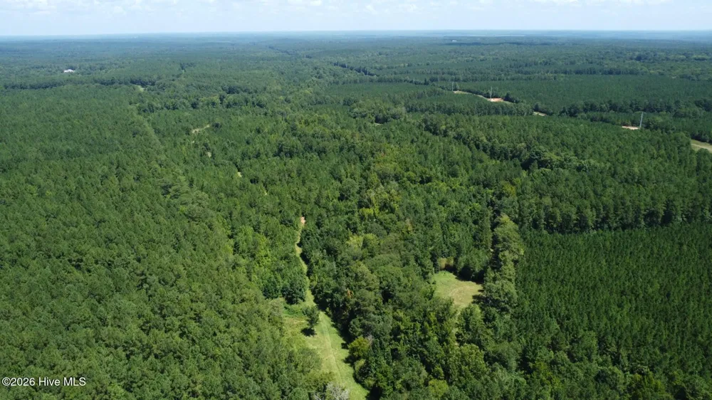 0 Kendricks Mill Road Crawfordville, GA 30631