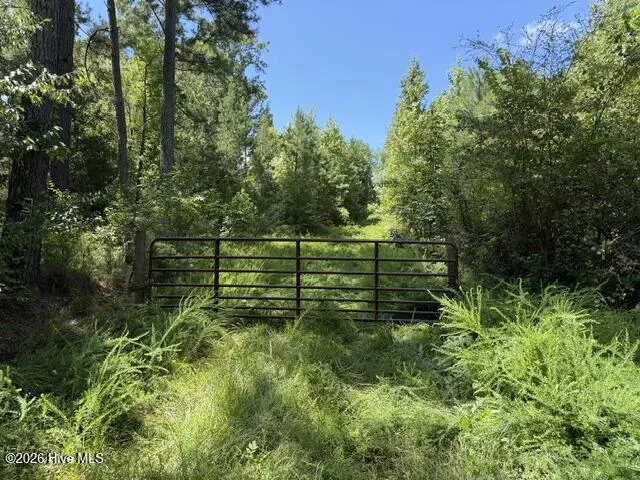 0 Kendricks Mill Road Crawfordville, GA 30631