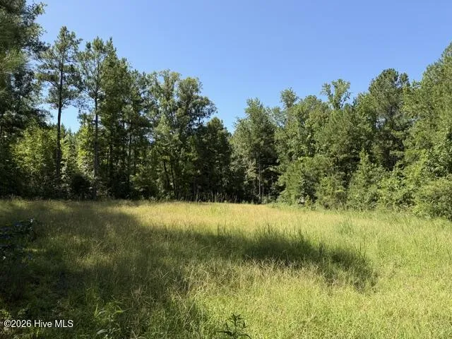 0 Kendricks Mill Road Crawfordville, GA 30631