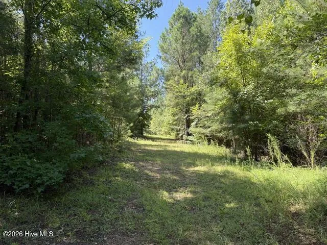 0 Kendricks Mill Road Crawfordville, GA 30631