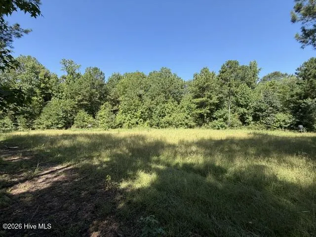 0 Kendricks Mill Road Crawfordville, GA 30631