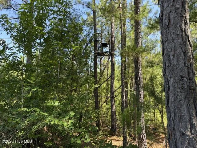 0 Kendricks Mill Road Crawfordville, GA 30631