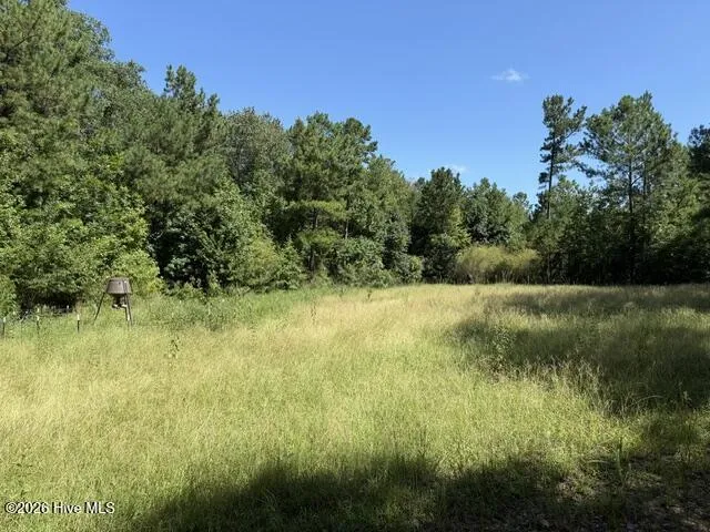 0 Kendricks Mill Road Crawfordville, GA 30631