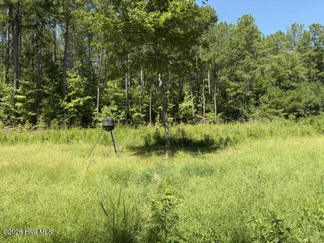 0 Kendricks Mill Road Crawfordville, GA 30631