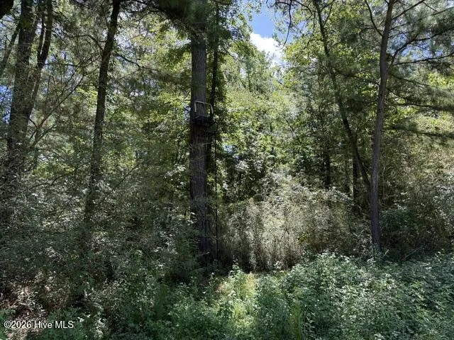 0 Kendricks Mill Road Crawfordville, GA 30631
