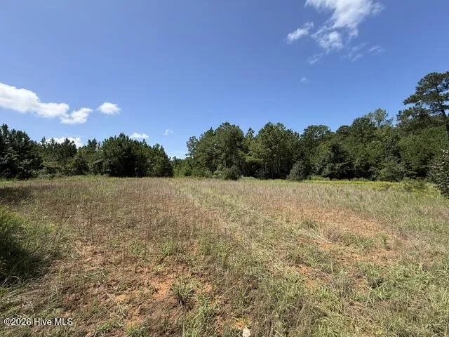0 Kendricks Mill Road Crawfordville, GA 30631