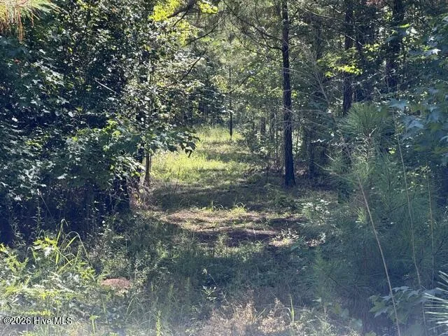 0 Kendricks Mill Road Crawfordville, GA 30631